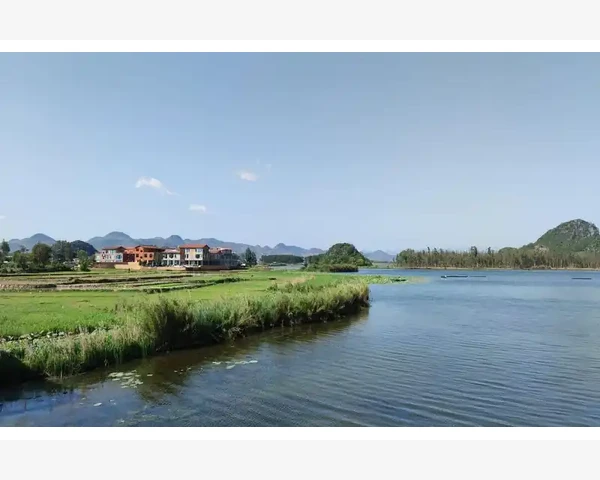 补气补血的四物汤，中医经典方剂的传世之秘