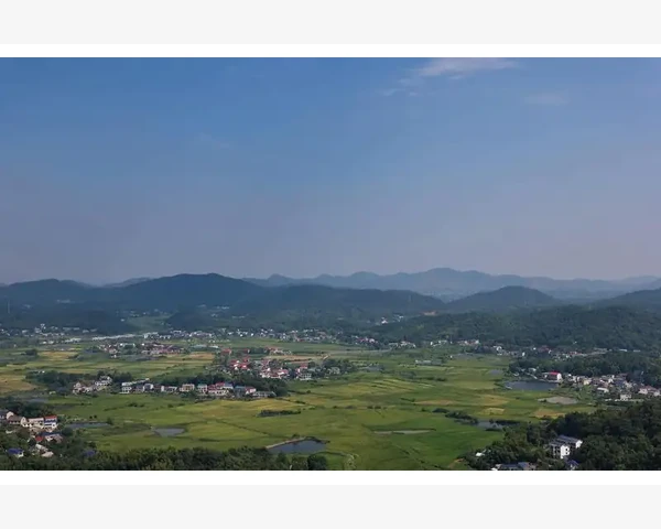 小孩子晚上睡觉出汗，吃什么好？